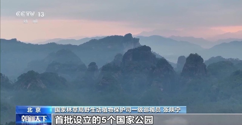  特别“家庭旅行团”亮相 我国野生动植物保护交出亮眼答卷 新闻 特别“家庭旅行团”亮相 我国野生动植物保护交出亮眼答卷 新闻