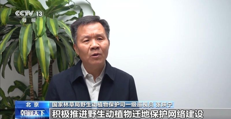  特别“家庭旅行团”亮相 我国野生动植物保护交出亮眼答卷 新闻 特别“家庭旅行团”亮相 我国野生动植物保护交出亮眼答卷 新闻
