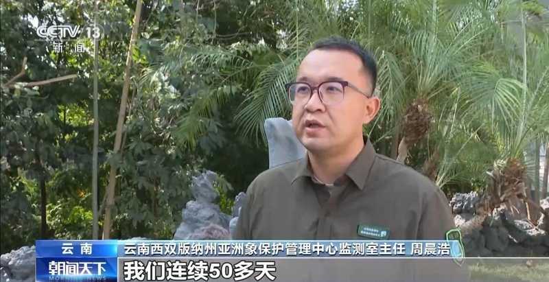  特别“家庭旅行团”亮相 我国野生动植物保护交出亮眼答卷 新闻 特别“家庭旅行团”亮相 我国野生动植物保护交出亮眼答卷 新闻