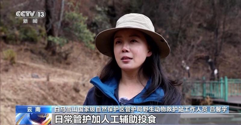  特别“家庭旅行团”亮相 我国野生动植物保护交出亮眼答卷 新闻 特别“家庭旅行团”亮相 我国野生动植物保护交出亮眼答卷 新闻