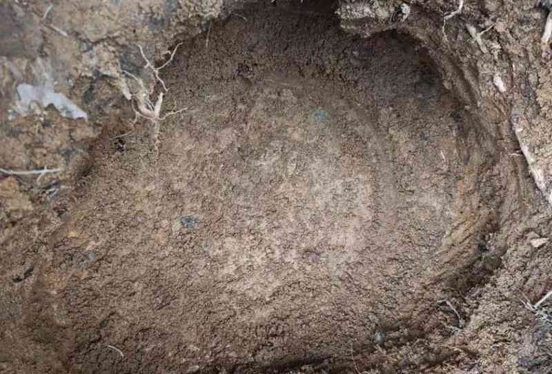  云南威信一村民耕作时挖出东汉铜鼓并主动捐出，专家：应为祭祀时的重要礼器 新闻 云南威信一村民耕作时挖出东汉铜鼓并主动捐出，专家：应为祭祀时的重要礼器 新闻