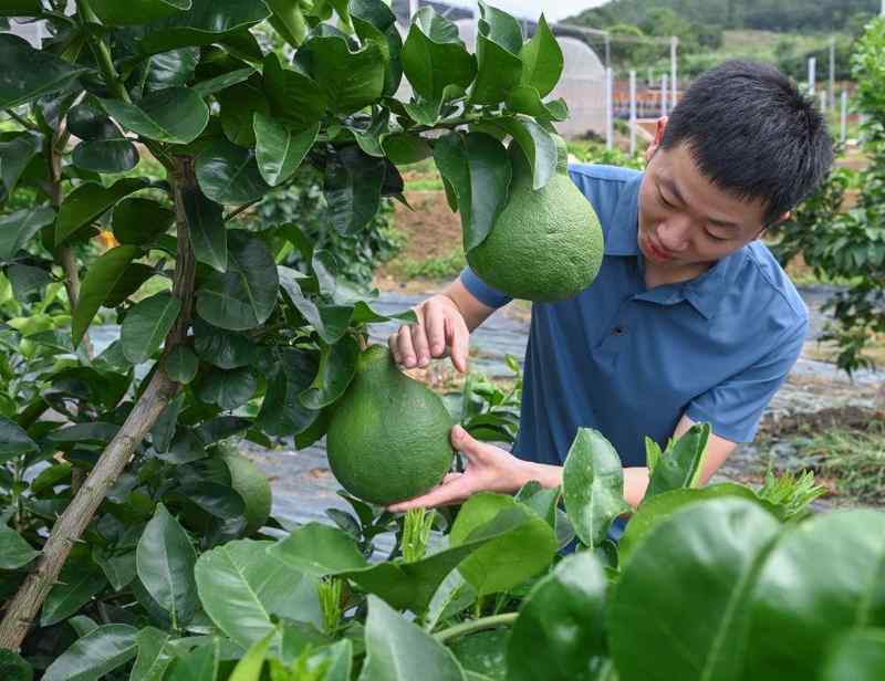 习近平总书记引领中国从脱贫攻坚迈向乡村全面振兴 新闻 习近平总书记引领中国从脱贫攻坚迈向乡村全面振兴 新闻