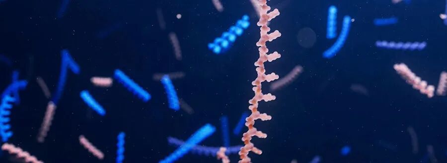  全球10多款寡核苷酸在研新药迈入3期临床！这些罕见病患者有望迎新曙光 新闻 全球10多款寡核苷酸在研新药迈入3期临床！这些罕见病患者有望迎新曙光 新闻