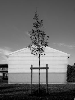 中国推动银行信贷支持科技创新 科技型中小企业贷款余额达3.63万亿 新闻