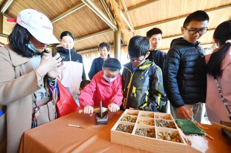  迷茫于都市忙碌：探寻路县故城的静谧汉韵之旅 文化旅游