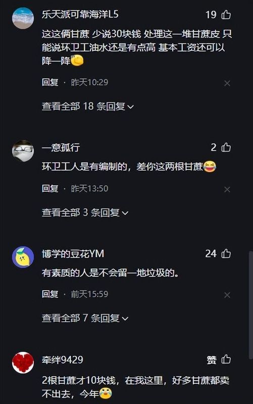  【深度复盘】从甘蔗摊主留甘蔗事件：拆解城市治理中“善意传递”的执行困境与破局思路 新闻