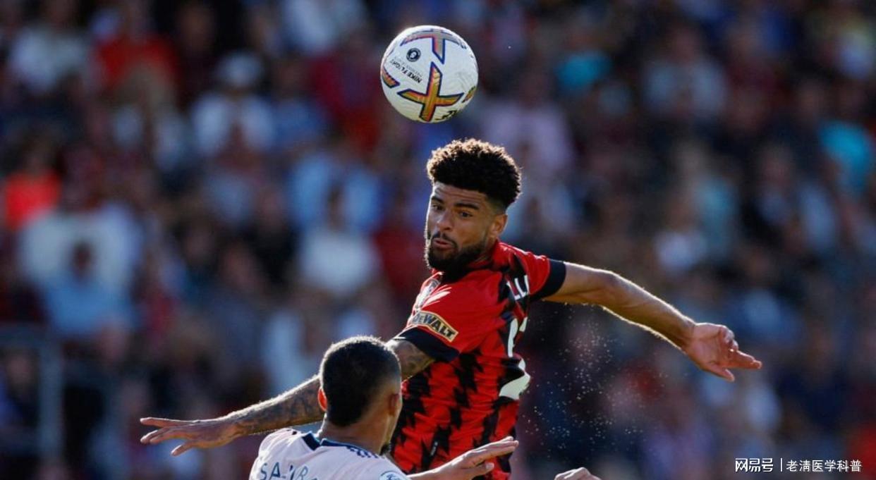  数据拆解：拜仁105球破纪录背后的战术裂变与五大联赛攻守博弈 体育新闻