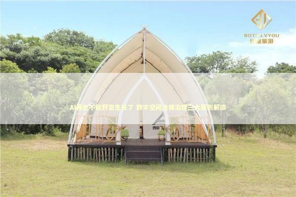 AI再也不能野蛮生长了 数字空间法律治理三大原则解读 新闻