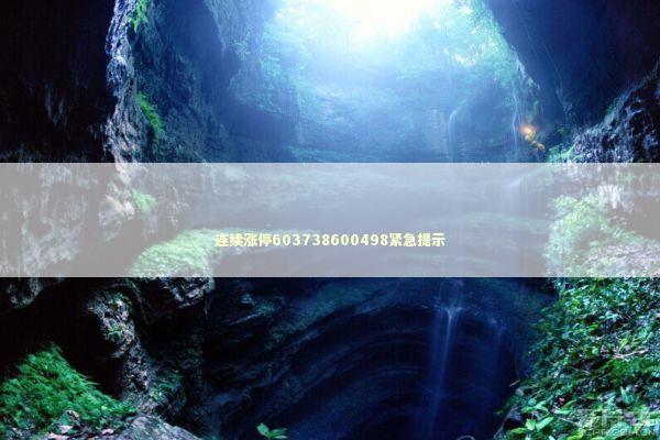 连续涨停603738600498紧急提示 新闻