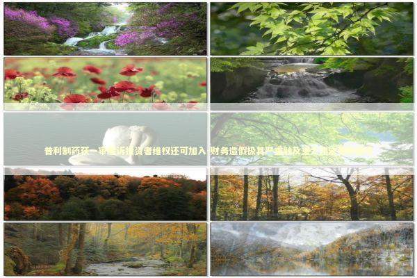 普利制药获一审胜诉投资者维权还可加入-财务造假极其严重触及重大违法强制退市 普利制药获一审胜诉投资者维权还可加入-财务造假极其严重触及重大违法强制退市 新闻