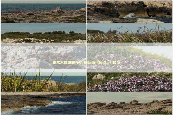 霍尔木兹海峡停航 国际油价飙涨_引用型 新闻