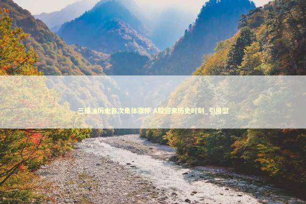 三桶油历史首次集体涨停 A股迎来历史时刻_引用型