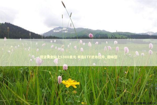 现货黄金站上5300美元 有色ETF逆市拉升_趣味型 新闻