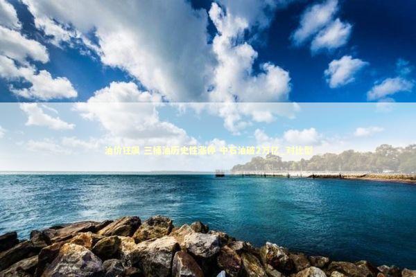 油价狂飙 三桶油历史性涨停 中石油破2万亿_对比型 新闻