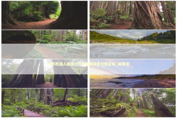 人形机器人融资35亿 春晚顶流引爆资本_叙事型 新闻