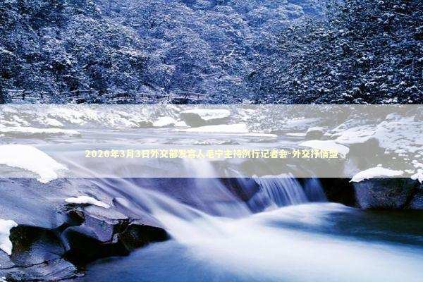 2026年3月3日外交部发言人毛宁主持例行记者会-外交抒情型 新闻