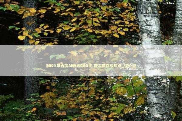 2025年百度AI收入400亿 首次披露成焦点_议论型 新闻
