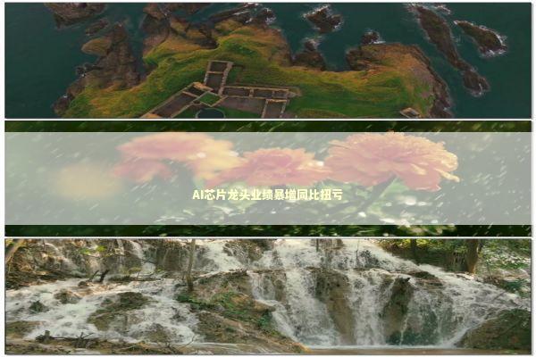 AI芯片龙头业绩暴增同比扭亏 新闻