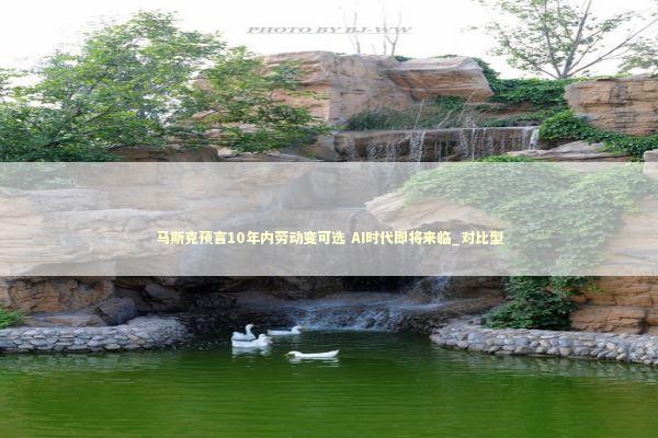 马斯克预言10年内劳动变可选 AI时代即将来临_对比型