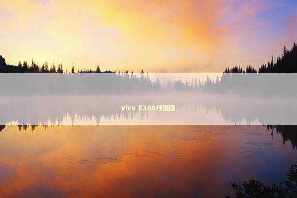 vivo X300抒情版