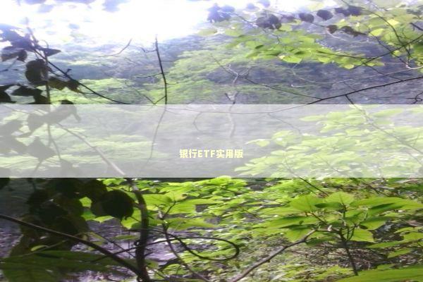 银行ETF实用版 新闻