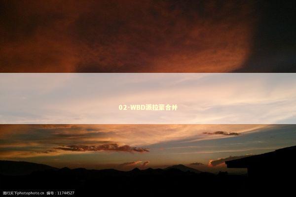 02-WBD派拉蒙合并 02-WBD派拉蒙合并 新闻