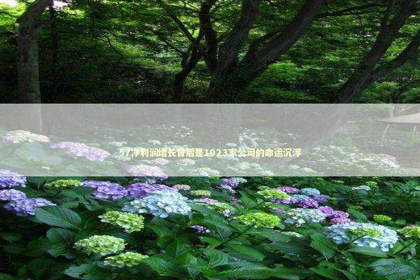 57净利润增长背后是1023家公司的命运沉浮 新闻