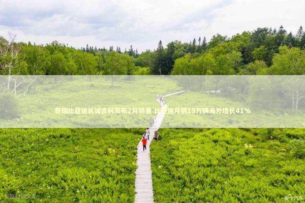 奇瑞比亚迪长城吉利发布2月销量 比亚迪月销19万辆海外增长41%