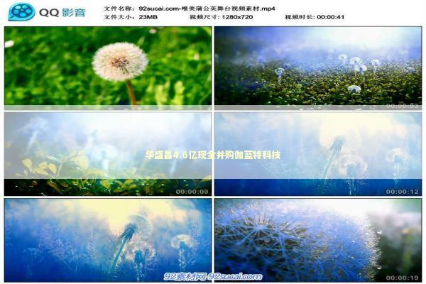 华盛昌4.6亿现金并购伽蓝特科技