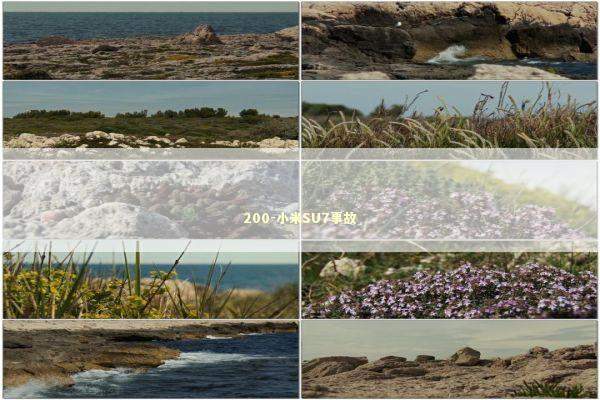 200-小米SU7事故 新闻