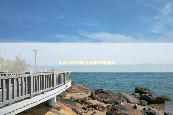 十大机构研判两会期间市场偏震荡 新闻