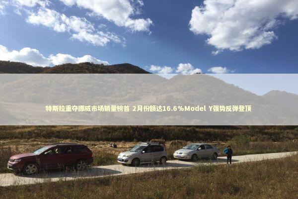 特斯拉重夺挪威市场销量榜首 2月份额达16.6%Model Y强势反弹登顶 新闻