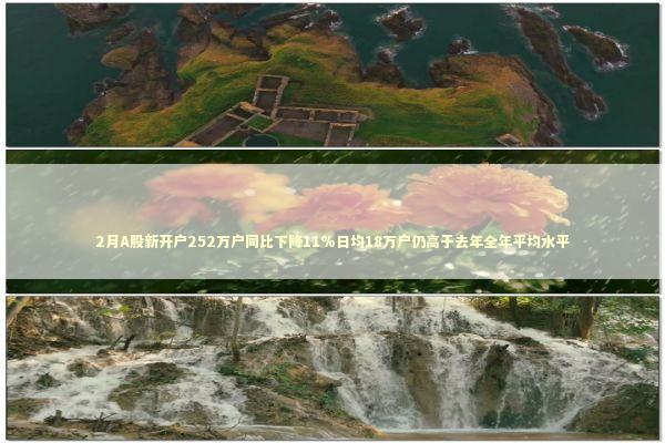 2月A股新开户252万户同比下降11%日均18万户仍高于去年全年平均水平 新闻