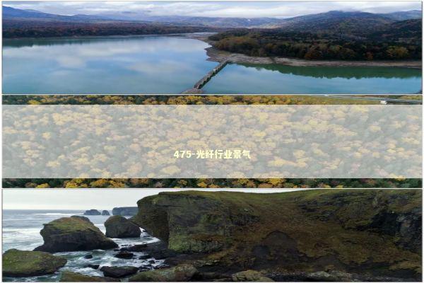 475-光纤行业景气 新闻