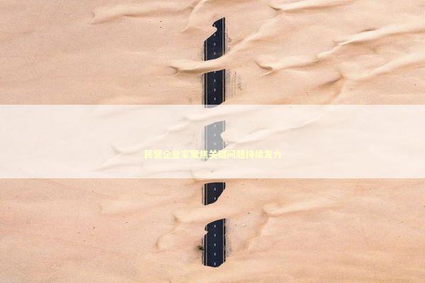 民营企业家聚焦关键问题持续发力 新闻