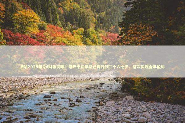 B站2025年Q4财报亮眼：用户平均年龄已提升到二十六七岁，首次实现全年盈利 新闻
