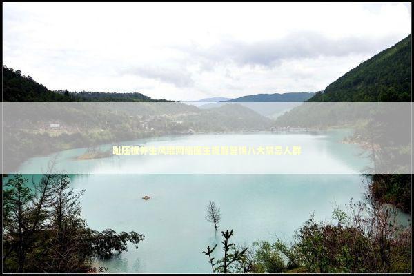 趾压板养生风靡网络医生提醒警惕八大禁忌人群 新闻