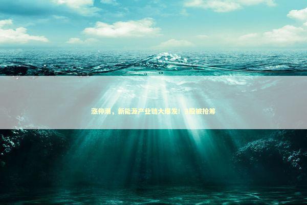 涨停潮，新能源产业链大爆发！3股被抢筹 新闻