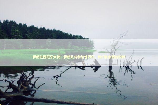 伊朗驻西班牙大使：伊朗队将参加世界杯，我们有参赛的权利 新闻