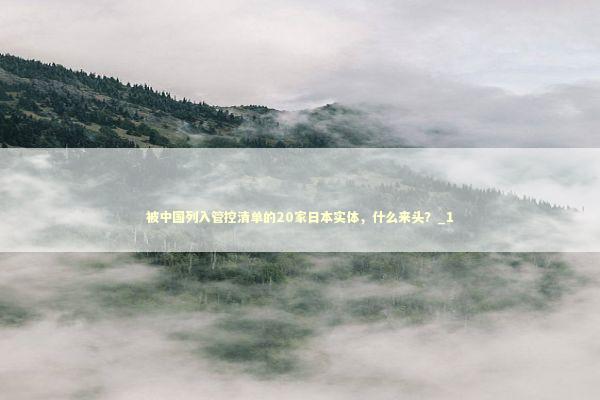 被中国列入管控清单的20家日本实体，什么来头？_1 新闻