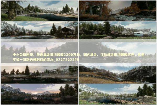 中小公募困境：华夏基金日均营收2300万元，瑞达基金、江信基金日均营收万元，甚至不如一家路边便利店的流水_0227222259