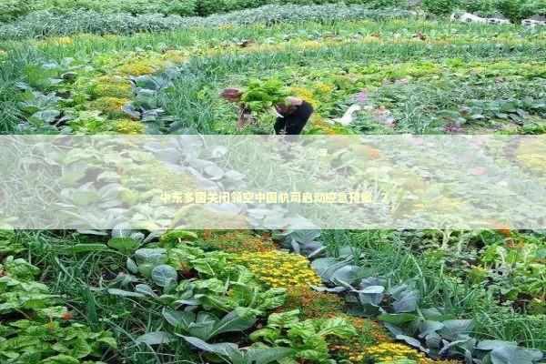 中东多国关闭领空中国航司启动应急预案_2