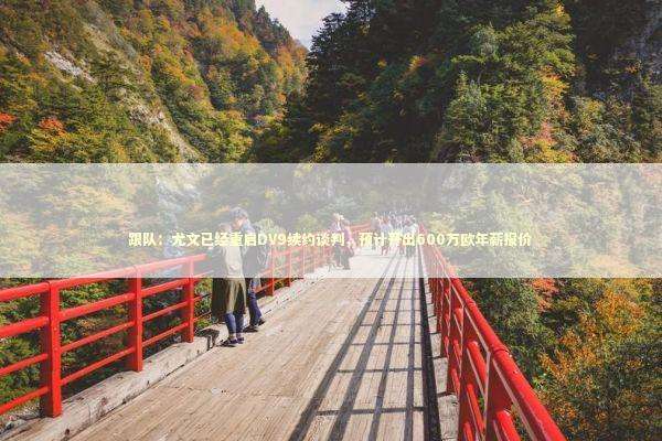 跟队：尤文已经重启DV9续约谈判，预计开出600万欧年薪报价 新闻