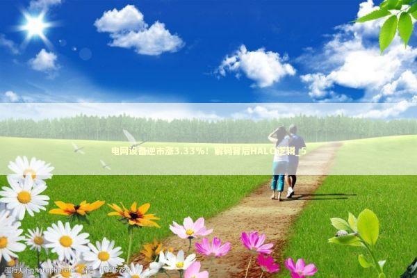 电网设备逆市涨3.33%！解码背后HALO逻辑_5 新闻