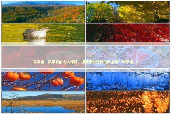 基米希：凯恩真的令人惊叹，拥有像他这样的队友是一种幸运_3 新闻