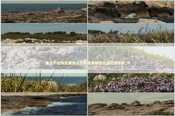 重资产低淘汰赛道火热机构青睐低估值优质标的_4 重资产低淘汰赛道火热机构青睐低估值优质标的_4 新闻