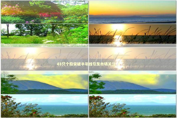 48只个股突破半年线引发市场关注_5 新闻