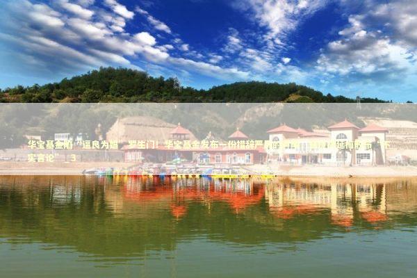 华宝基金陷“逼良为娼”罗生门！华宝基金发布一份措辞严厉的声明，谴责胡延梅散布“不实言论”_3