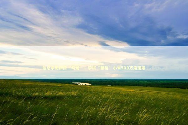 信息未更新闹“乌龙”，李斌“躺枪”小米500万索赔案