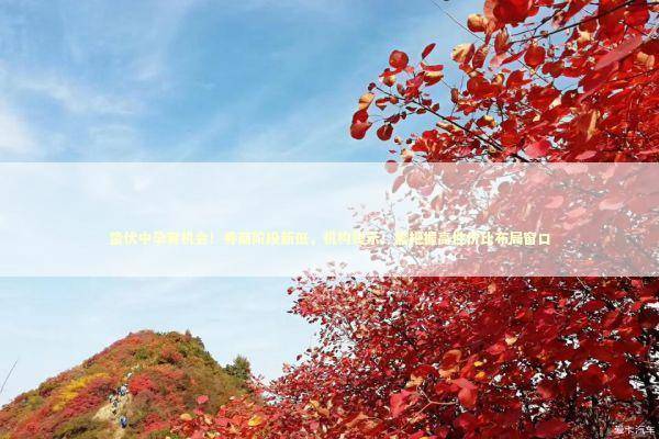 蛰伏中孕育机会！券商阶段新低，机构提示：需把握高性价比布局窗口